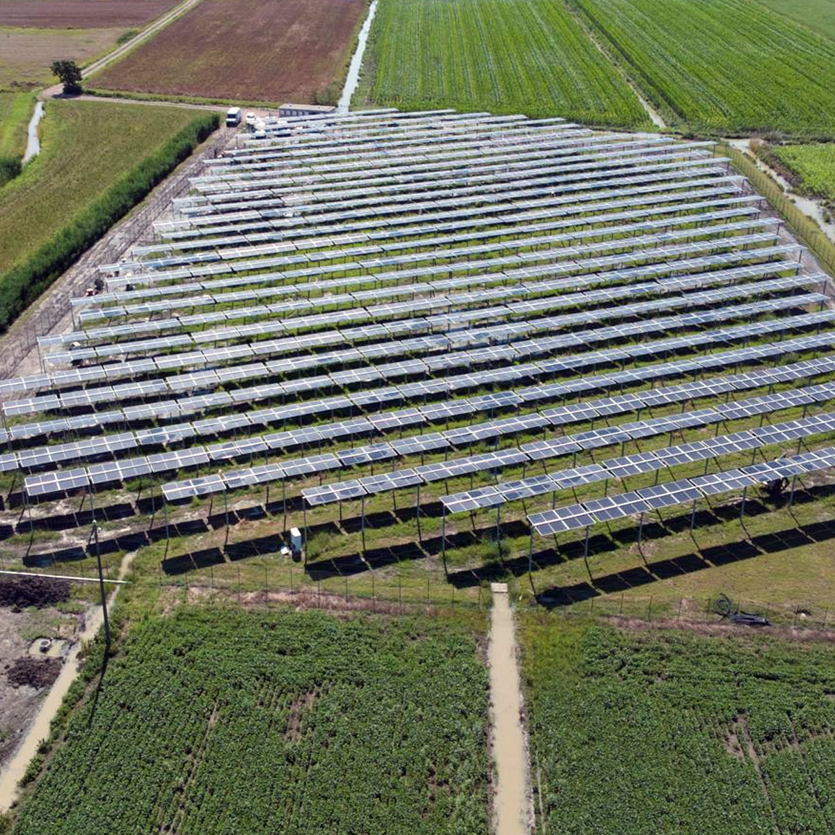 Azienda Agricola Corte Belfiore